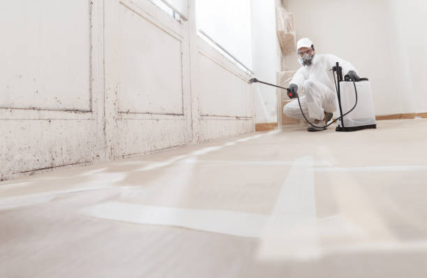 24/7 Emergency Mold Cleanup experts in Chalfont, PA