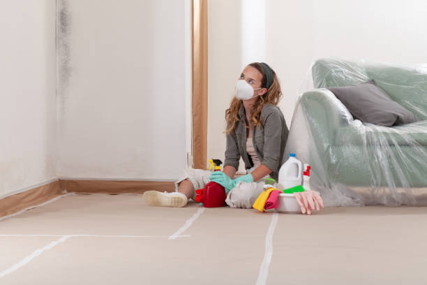 Reliable Mold Cleanup contractor in Chalfont, PA by Cheap Mold Removal